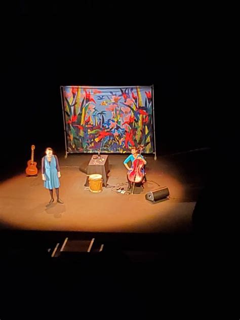 Spectacle Pajaros École élémentaire Léon Blum Longvic