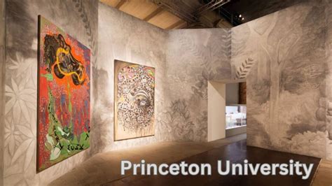 Beyond Academics The Vibrant Arts Scene At Princeton University