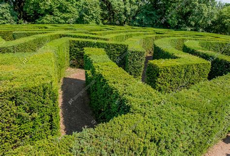 Labyrinth in Botanical Garden Stock Photo 107084