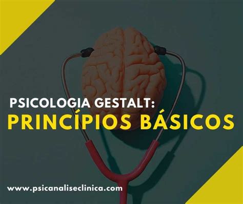 Psicologia Gestalt 7 Princípios Básicos Psicanálise Clínica