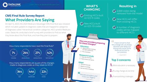 Infographic: What providers are saying about CMS Final Rule - DataLink