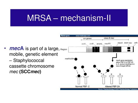 Ppt Lecture Mrsa Methicillin Resistant S Aureus Powerpoint