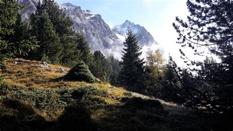 Forest in Parc Ela, Switzerland (3264x1836) (OC) : r/EarthPorn