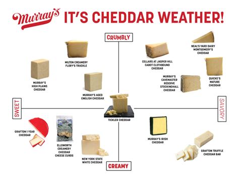 All About Cheddar The Ultimate Guide To Cheddar Types Murrays