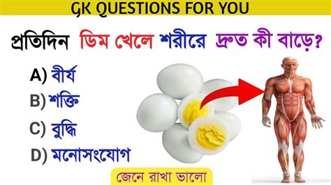 প্রতিদিন ডিম খেলে শরীরে দ্রুত কী বাড়ে Gk Questions In Bengaliujjwal