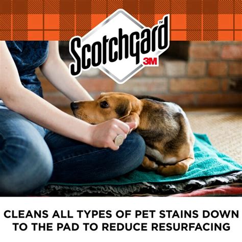 Scotchgard OXY Pet Carpet and Fabric Spot and Stain Remover Spot ...