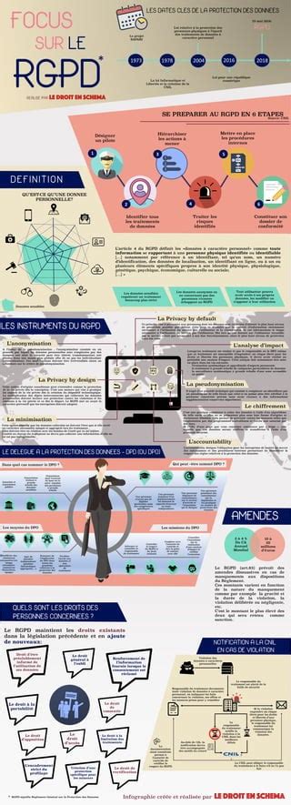 INFOGRAPHIE Focus Sur Le RGPD PDF