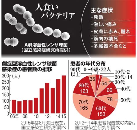 Xp 病気 死ぬ Hello Doctor