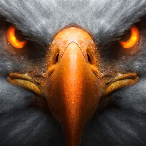 2932x2932 Eagle Red Glowing Eyes Ipad Pro Retina Display Hd 4k