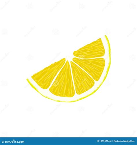 Realistic Lemon Slice Isolated Stock Vector Illustration Of Icon