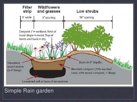 Constructing Rain Gardens And Bioswales Powerpoint