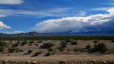 Death Valley and the Mojave Desert - Oddities and Ends