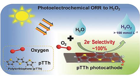 李灿院士团队ees：聚三噻吩光阴极，光电催化氧还原高效合成h2o2 X Mol资讯