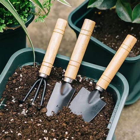 OYIGU 3 Pcs Mini Garden Tools Set, Small Garden Tools, Gardening Kit