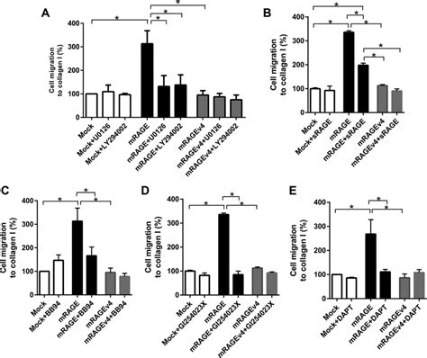 Cell Migration Induced By Rage Ectodomain Shedding Is Dependent On