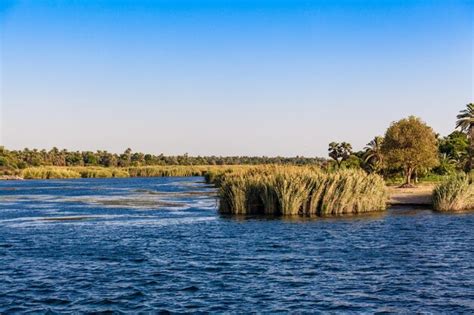 Premium Photo | River Nile in Egypt Life on the River Nile