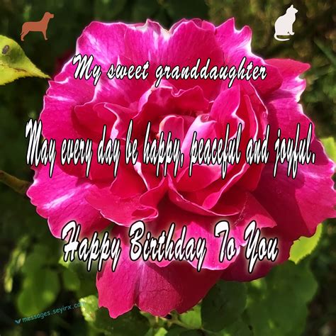 Happy Birthday Granddaughter Wishes Images