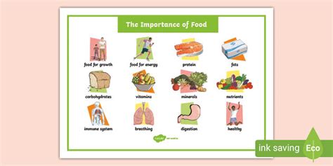 The Importance Of Food Word Mat Teacher Made