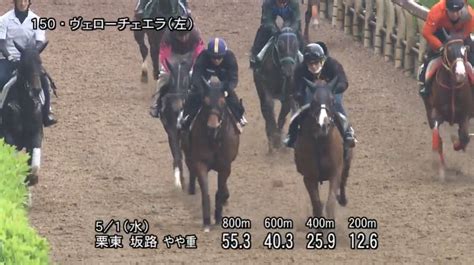 【京都新聞杯2024】追い切り・コメント動きからレースを紐解く