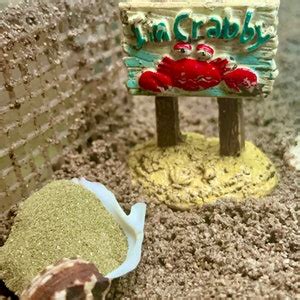 Organic Greensand Hermit Crab Food Supplement Etsy