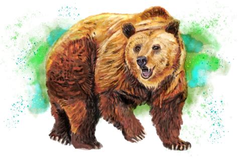 Grizzly Bear Watercolor 9x12 Wall Art Print Home Decor