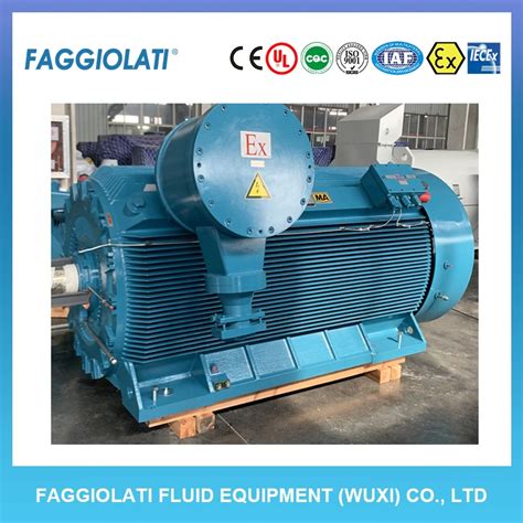 High Efficiency Explosion Proof Coal Mine Motor Low Voltage Motor And