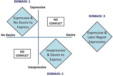 Table 1 From The Role Of Cognitive Emotion Regulation Strategies