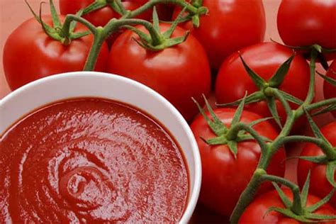 Tomatenpüree Selber Machen Rezept Arad Branding