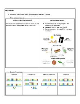 Living Environment Regents Review Mutations By Danielle Debenedetto