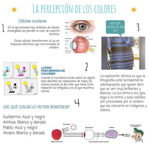 Esta infografía trata sobre el fenómeno de percepción del color esta