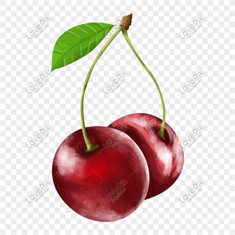 Gambar Buah Cherry Segar Merah Kecil Dan Sayuran Realistis Ilustrasi Ya