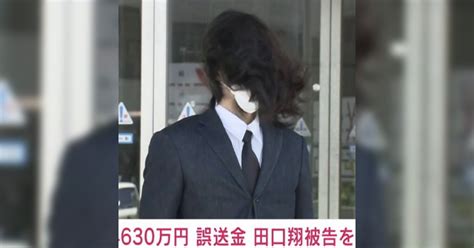 4360万円誤送金事件の田口翔さんが釈放される。毛髪量が多すぎて視聴者に衝撃を与える Togetter