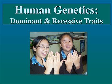 PPT - Human Genetics: Dominant & Recessive Traits PowerPoint ...