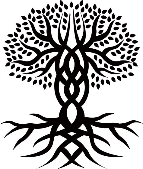 Life clipart celtic tree, Life celtic tree Transparent FREE for ...