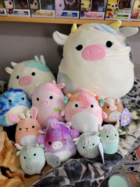 today's haul... very unexpected... : r/squishmallow
