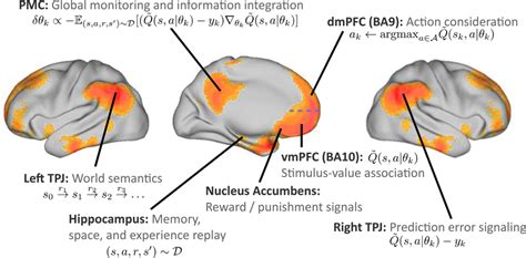 Default Mode Network Possible Neurobiological Implementation Of