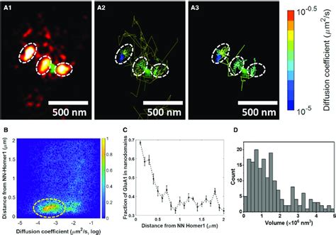 Synaptic Nanodomains Of Glua Ampars A A A Representative Image