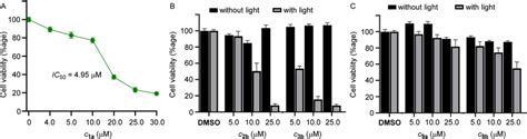 A Dose Dependent Cell Viability Of Mcf Cells Incubated With A