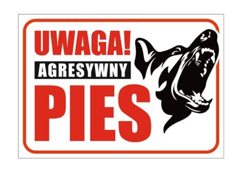 UWAGA AGRESYWNY PIES Tabliczka 20x14 Cm Sklep Strefa Reklamy I