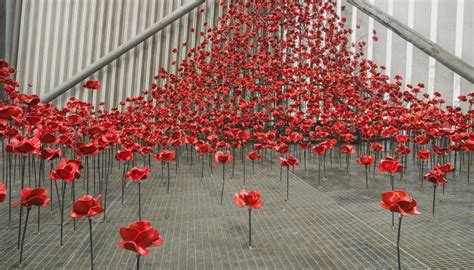 Poppy Sculptures To Take Permanent Home At Iwm North Museums