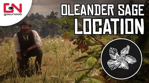 Oleander Sage Rdr2 Online 5 Oleander Sage Picked Location Daily Challenge Youtube