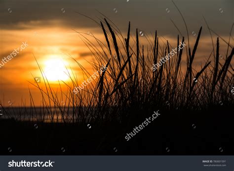 8,788 Wadden Sea Island Images, Stock Photos & Vectors | Shutterstock