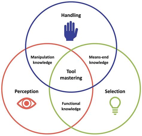 Frontiers Tool Mastering Today An Interdisciplinary Perspective