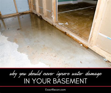 Why You Shouldn’t Ignore Water Damage In Your Basement Exact Recon Restoration