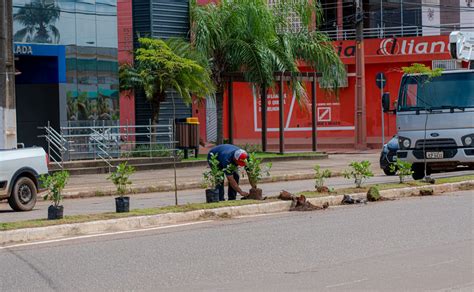 Sema Secretaria Municipal De Meio Ambiente E Desenvolvimento Sustent Vel