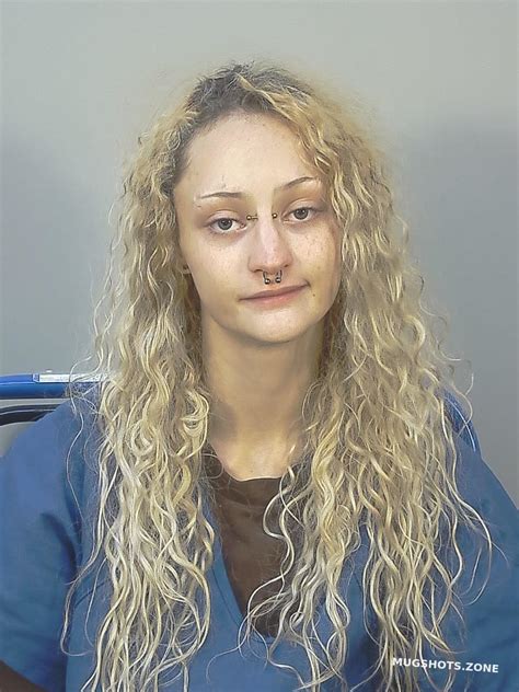 Vangulik Sarah Elizabeth 06 17 2024 Dane County Mugshots Zone