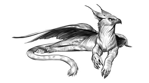 Gryphon Creature Concept Art Griffin Mythical Creature Art