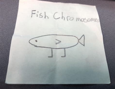 Fish Chromosome : r/JacobDoesLife