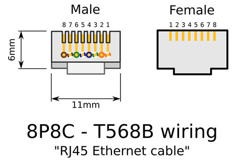 RJ45 Female Connector Wiring Diagram