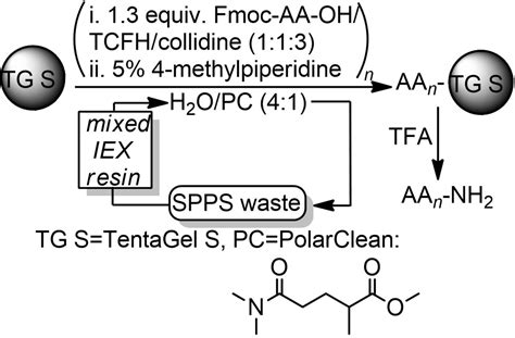 Circular Aqueous Fmoc Tbu Solidphase Peptide Synthesis Pawlas